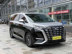 Denza D9 DM-i 980 four-wheel drive flagship - фото 3