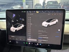 Tesla Model 3 standard range rear drive upgraded version 3D6 - фото 3