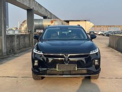Voyah Lantu Zhiyin 2024 long battery life supercharged version - фото 2