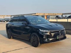 Voyah Lantu Zhiyin 2024 long battery life supercharged version - фото 3