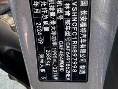 Lynk & Co Voyager 2.0T four-wheel drive Zunrui hybrid version - фото 12