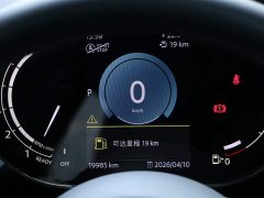 MINI 2.0T COOPER S Black Label Special Edition - фото 12