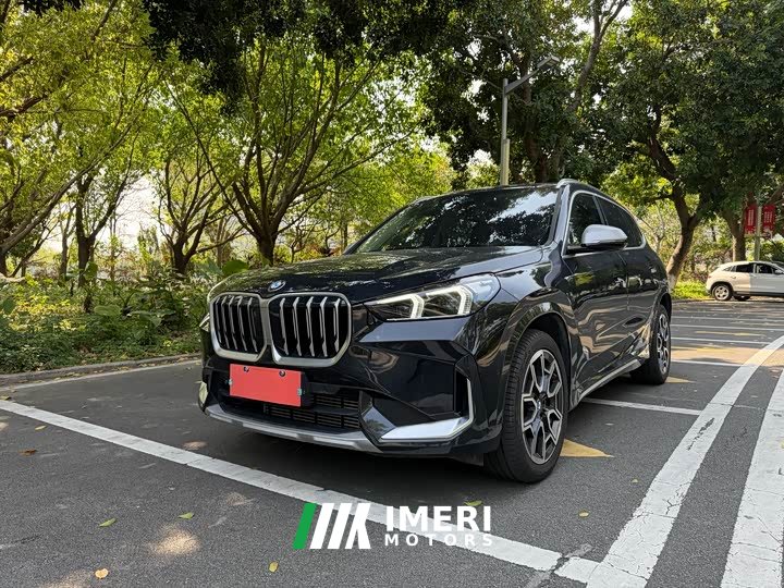 BMW X1 sDrive25Li X-Line - автомобиль из Китая