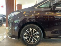 Hongqi HQ9 PHEV 2.0T four-wheel drive luxury version - фото 11