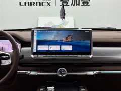 Tank 700 New Energy Hi4-T Extreme Edition - фото 9