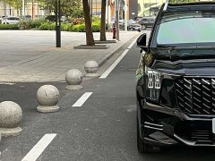 Trumpchi GS8 2024 Pilot Series 2.0TGDI 2WD Luxury Connected Edition 7 Seats - фото 16