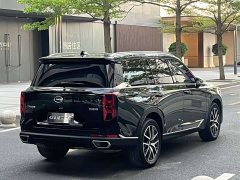 Trumpchi GS8 2024 Pilot Series 2.0TGDI 2WD Luxury Connected Edition 7 Seats - фото 18