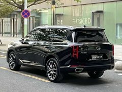Trumpchi GS8 2024 Pilot Series 2.0TGDI 2WD Luxury Connected Edition 7 Seats - фото 19