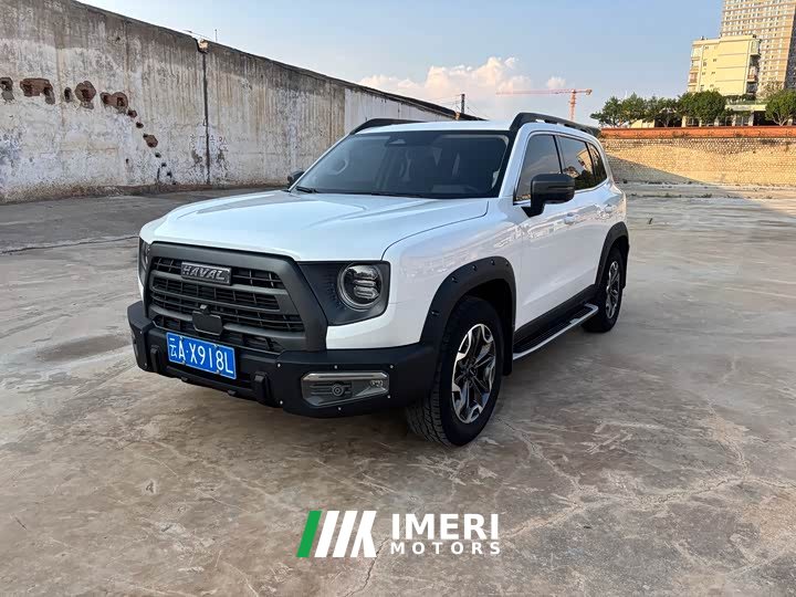 Havaldog 2022 2.0T DCT four-wheel drive Chinese pastoral dog hunting version - автомобиль из Китая