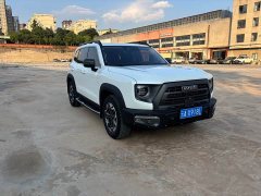 Havaldog 2022 2.0T DCT four-wheel drive Chinese pastoral dog hunting version - фото 3