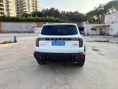 Havaldog 2022 2.0T DCT four-wheel drive Chinese pastoral dog hunting version - фото 6