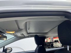 Lexus Asia Lion 2021 2.0L Deluxe Edition - фото 10