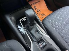 Lexus Asia Lion 2021 2.0L Deluxe Edition - фото 12