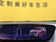 Lynk & Co Century 2.0T four-seater private version - фото 19