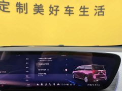 Lynk & Co Century 2.0T four-seater private version - фото 20