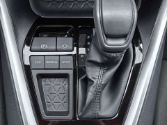 Toyota RAV4 2024 2.0L CVT 2WD Urban Edition - фото 17