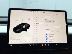 Tesla Model 3 standard range rear drive upgraded version 3D6 - фото 12