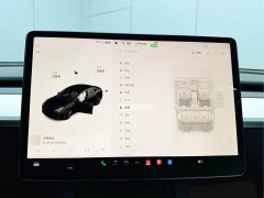 Tesla Model 3 standard range rear drive upgraded version 3D6 - фото 13