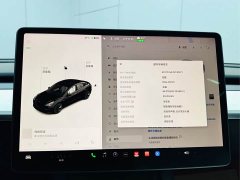 Tesla Model 3 standard range rear drive upgraded version 3D6 - фото 14
