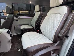 Lanjing 2021 380TSI four-wheel drive flagship Shengjing Edition - фото 16