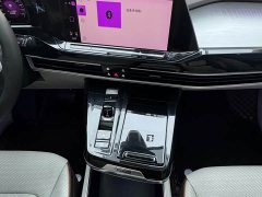 Lanjing 2021 380TSI four-wheel drive flagship Shengjing Edition - фото 19
