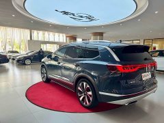 Lanjing 2021 380TSI four-wheel drive flagship Shengjing Edition - фото 7