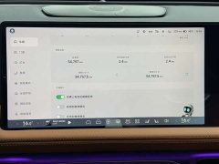 Xpeng G9 702 Max - фото 16