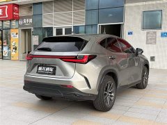 Lexus NX 260 front-wheel drive Chuangchi version - фото 9