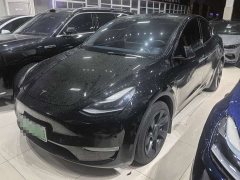 Tesla Model Y long-range all-wheel drive version - фото 1