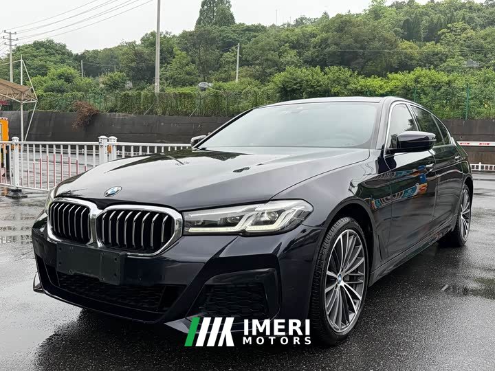 BMW 5 Series 530Li Leading M Sports Package - автомобиль из Китая