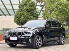 BMW X5 2022 xDrive 40Li M Sports Package - фото 1