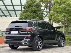BMW X5 2022 xDrive 40Li M Sports Package - фото 4