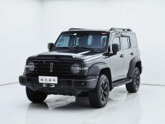 Tank 300 Off-Road Version 2.0T Conqueror - фото 1