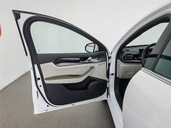 BYD Qin PLUS Champion Edition DM-i 55KM Transcendent Type - фото 8