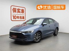 BYD Qin PLUS Honor Edition DM-i 55KM Leading Type - фото 1