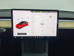Tesla Model 3 facelift standard range rear drive upgraded version 3D1 - фото 12