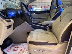 Buick GL8 ES Lu Zun Exclusive - фото 12