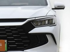 BYD Song Pro New Energy 2023 Champion Edition DM-i 71KM Leading Type - фото 18