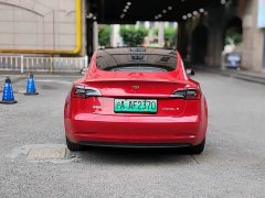 Tesla Model 3 Standard Range Rear Drive Upgraded Version - фото 6