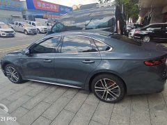 Tesla Xingrui 2.0TD Premium - фото 4