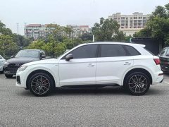 Audi Q5L 45 TFSI luxury and dynamic - фото 4