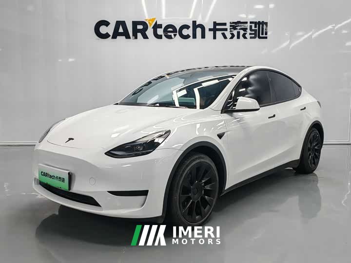 Tesla Model Y rear-wheel drive version - автомобиль из Китая