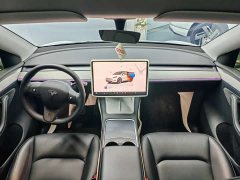 Tesla Model Y rear-wheel drive version - фото 11