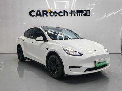 Tesla Model Y rear-wheel drive version - фото 3