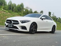 Mercedes-Benz CLS 300 Luxury - фото 1