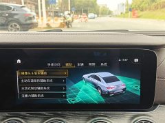 Mercedes-Benz CLS 300 Luxury - фото 20