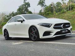 Mercedes-Benz CLS 300 Luxury - фото 3
