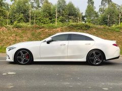 Mercedes-Benz CLS 300 Luxury - фото 4