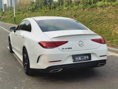 Mercedes-Benz CLS 300 Luxury - фото 5