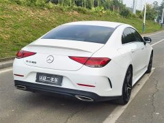 Mercedes-Benz CLS 300 Luxury - фото 7